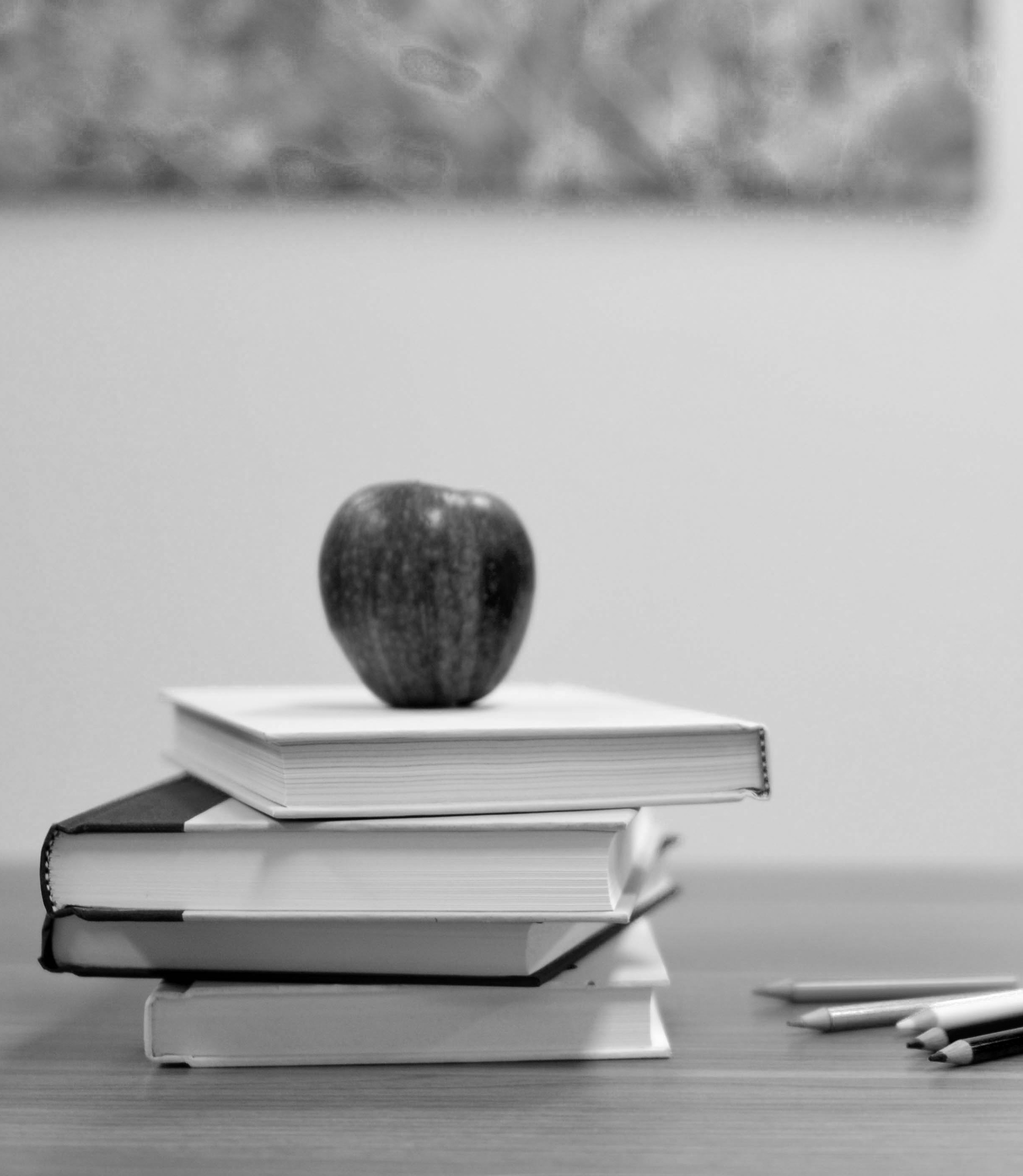 Seminar Header Pic